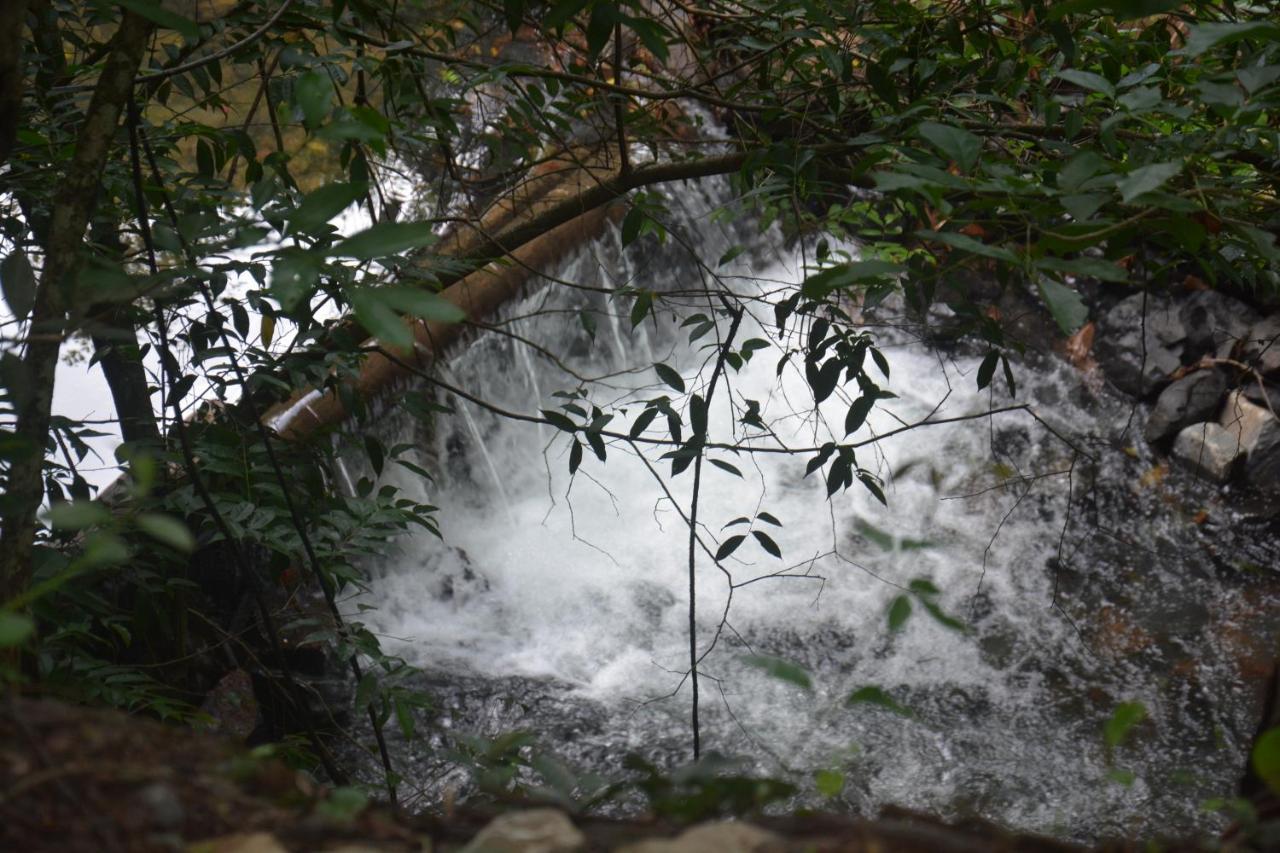 Park Veredas Flet 712. ริโอเกนจิ ภายนอก รูปภาพ
